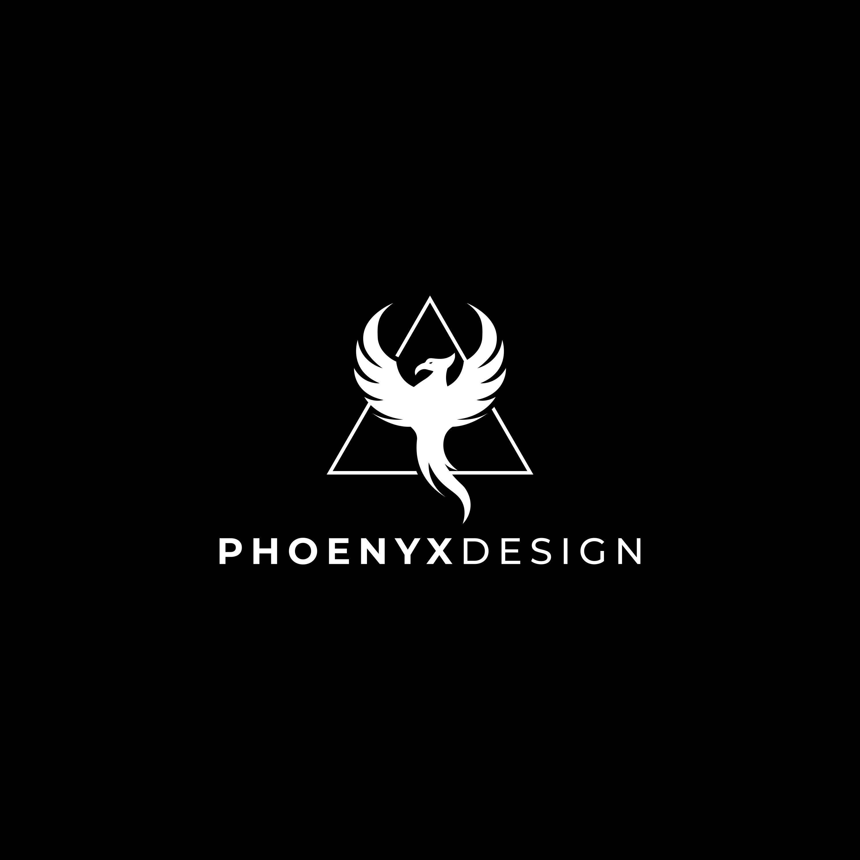 All Body Kits – Phoenyx Design