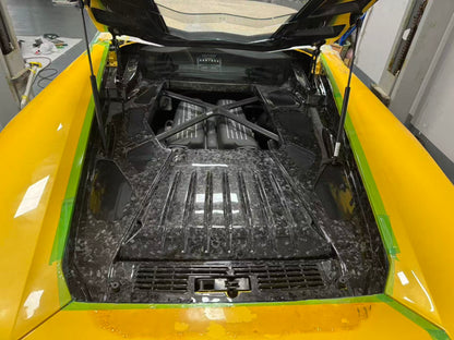 Lamborghini Huracan | Phoenyx Design Carbon Fiber Engine Bay