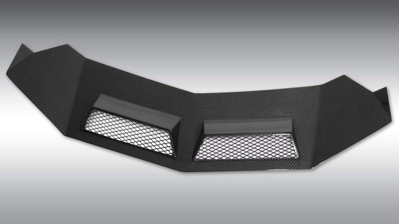 Lamborghini Aventador LP700 | Phoenyx Design Carbon Fiber Rear Engine Cover